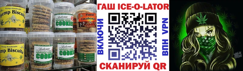Купить закладки  Вилючинск  Canna-Cookies марихуана 