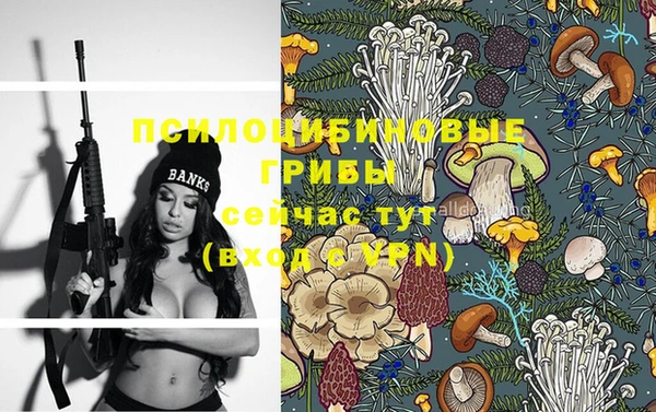 шишки Зерноград