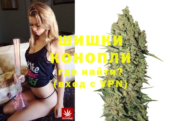 шишки Зерноград
