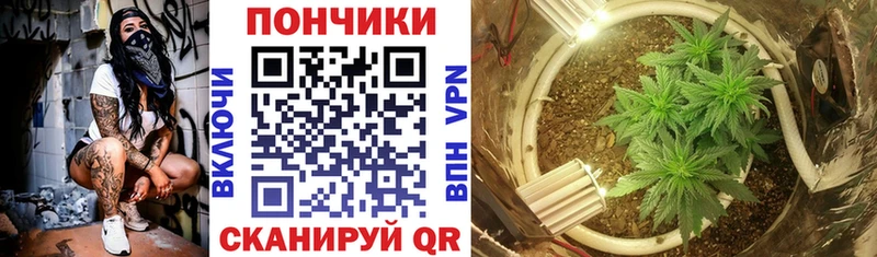 Каннабис индика  Купить где  Вилючинск 